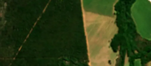 Recorte da imagem de satélite de uma fazenda real: mata, lavoura e uma estrada de terra, figura de um estudo gerado pela máquina